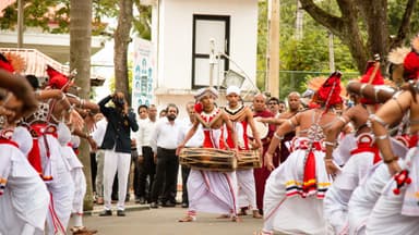 Article gallery image